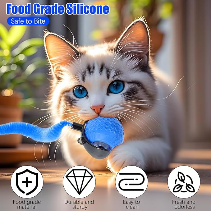 nteractive Cat Ball Toy, Cat Toy Ball with Cord Imitation Mouse, Obstacle Avoidance Smart CatToy Balls, Motion Activated Toys to Keep Them Busy (Blue, 1)