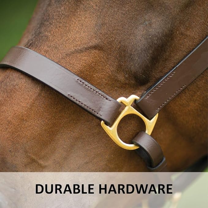 Dura-Tech Premier Lancaster Leather Halter for Horses | Simple Economy Leather Halter with Adjustable Fit & Solid Brass Hardware