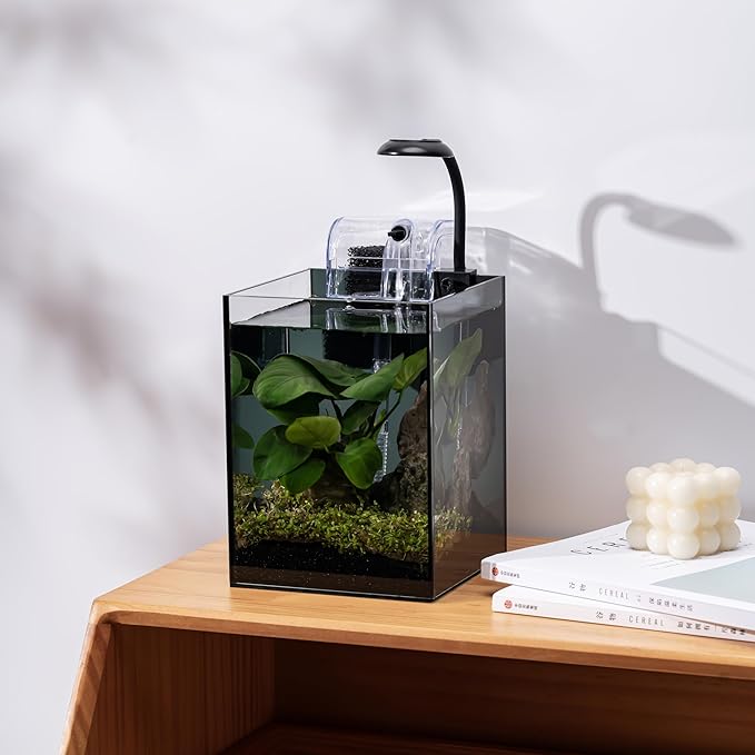 Nano Aquarium Kit,1.5 Gallon Rimless Small Glass Tank with Filter, Aquarium Light, and Aquascaping Decorations, for Home and Office (Black Tank - Rock, Small)