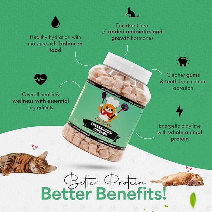 Freeze-Dried Chicken Treats for Cats & Dogs – 100% Human Grade, Single Ingredient, High-Protein, Healthy Snack – No Additives or Preservatives – 3.5oz - Inspected & Tested in USA