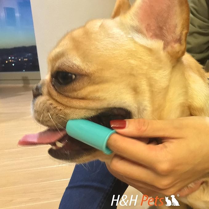 H&H Pets Dog Finger Toothbrushes - Professional Pet Finger Dental Brush Set for Dogs Puppies Cats, Soft Bristles, Size Large 8 Count