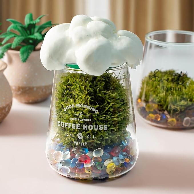 Sea Glass Stones 31oz - Aquarium Rocks & Fish Tank Gravel for Fish Tanks | Vase Fillers, Art & DIY Landscaping with Irregular Gems for Succulents & Terrariums (Colorful, Frosted)