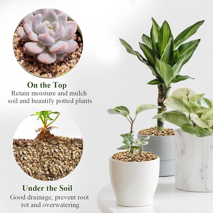 5 lbs Maifanitum Stones for Succulent,1/4 Inch Decorative Rocks for Indoor Plants, Bonsai, Soil Cover. Small Stones for Promote Soil Root Growth, Water Drainage and Plant Growth(5-8 mm)