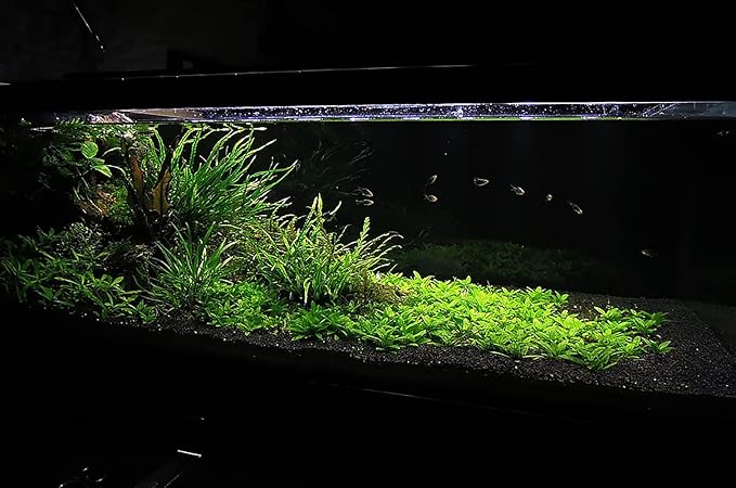 Ultum Nature Systems Controsoil - Freshwater Aqua Soil Substrate for Fish, Shrimp, Live Plant Propagation and Aquascaping - 6.8pH Low Ammonia, Volcanic Ash - Black, Normal (1 Liter | 2LB)