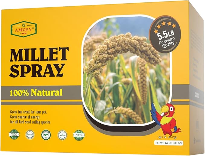 Amzey 5.5 LB Spray Millet for Parakeets, 100% Natural Dried Millet Grain for Birds, Non-GMO Bird Treat for Cockatiel, Finches, Parrots & Lovebirds