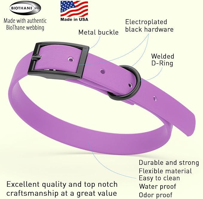 Dogline Biothane Waterproof Dog Collar Strong Coated Nylon Webbing with Black Hardware Odor- Proof for Easy Care Easy to Clean High Performance Fits Small Medium or Large Dogs, Amethyst Purple