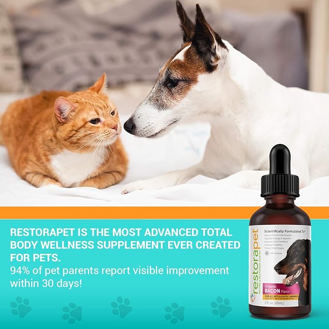 RestoraPet 2-Pack Dog & Cat Bacon Liquid Multivitamin | Dog Arthritis Pain Relief | Hip & Joint Vitamins for Dogs - Anti Inflammatory Supplement for Dogs & Cats | Organic & Non-GMO, Vet Approved