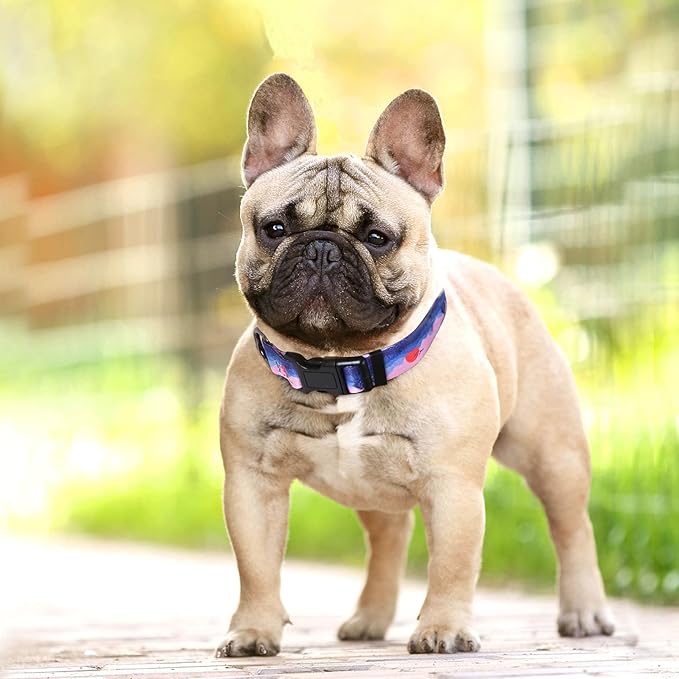 HEELE Dog Collar, Adjustable Soft Dog Collar for Small Medium Large Dogs,Floral Patterned Puppy Collars with Quick Release Buckle L Length 15.94''-25.59'
