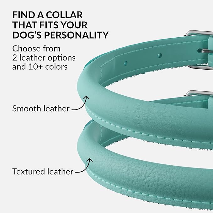 CollarDirect Rolled Leather Dog Collar, Soft Padded Round Puppy Collar, Handmade Genuine Leather Collar Dog Small Large Cat Collars 13 Colors (11-14 Inch, Mint Green Smooth)
