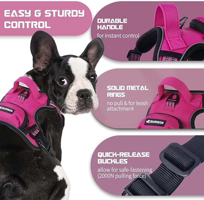 BUMBIN Dog Harness for Large Dogs, No Pull Adjustable No Choke Pet Vest with Dog Leash Fit Smart Reflective Pet Walking Harness for Training Easy Control Soft Handle Rose Red S