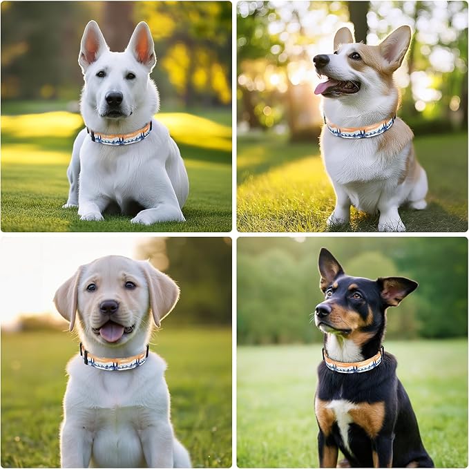 HEELE Dog Collar, Adjustable Soft Dog Collar for Small Medium Large Dogs,Floral Patterned Puppy Collars with Quick Release Buckle XS Length 8.5''-11''