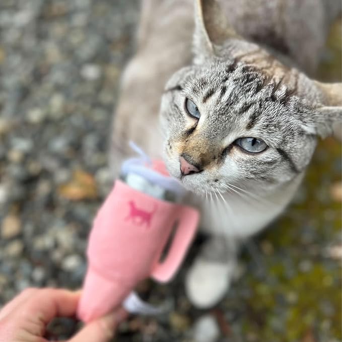 Kitty Cup Tumbler Cat Toy – Funny Cat Birthday Gifts with Catnip & Crinkle Paper, Cute Girl Kitten Toys (Pink Peach Dust)