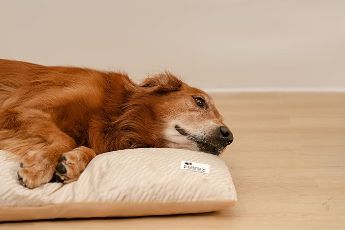 FUNNY FUZZY Washable Dog Bed,Reversible Plush Dog Crate Mat, Soft Fluffy Kennel Pad,Pet Sleeping Mattress for Jumbo,X-Large Sized Dogs Breeds,2XL,48"× 31",Beige