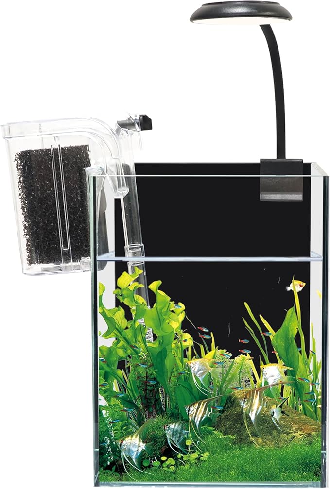 White Glass Betta Aquarium Starter Kits 1.2 Gallon Betta Fish Tank Starter Kit - LED Light & Self-Cleaning Filter Included