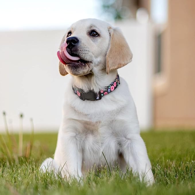 HEELE Dog Collar, Adjustable Soft Dog Collar for Small Medium Large Dogs,Floral Patterned Puppy Collars with Quick Release Buckle M Length 13.39''-20.87''