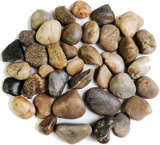 HappyFiller Decorative Natural Pebbles Polished Rocks Stones Mixed Color for Aquarium Gravel,Fish Turtle Tank,Outdoor Indoor Plants Top Dressing,Garden Landscaping,Home Vase Filler Decoration,10 LB