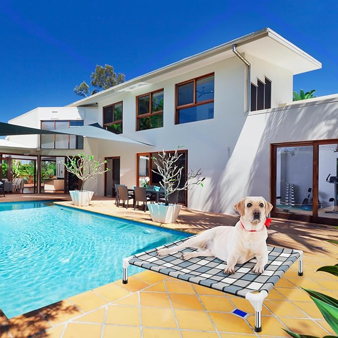 Elevated Outdoor Raised Dog Bed Outdoor Dogs Bed Lifted Pet Bed Dog Cot for Medium Pet Taste Life, Start with A Pet Bed 34'' x 26'' x 6.5''