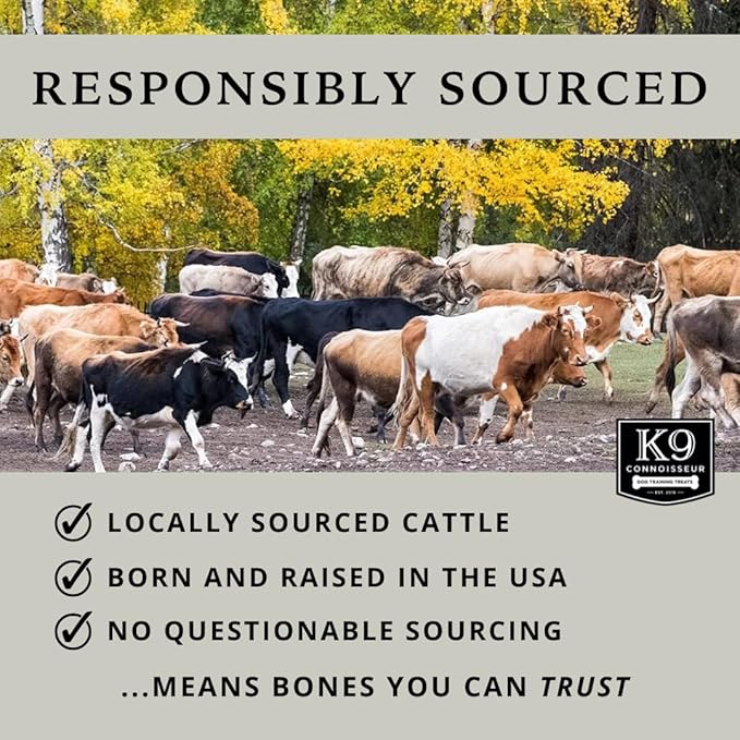 K9 Connoisseur Beef Marrow Dog Bones Long Lasting for Aggressive Chewers - USA Made Single Ingredient Dynamo Bone for Small and Medium Dogs Upto 50 Pounds - 3 Pack