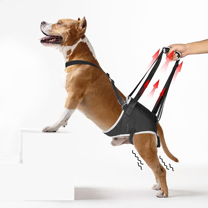Dog Hip Support Brace – Rear Leg Lift Harness for Mobility & Post-Surgery Recovery, with Chest Straps and Adjustable Elastic Buckles, Customization