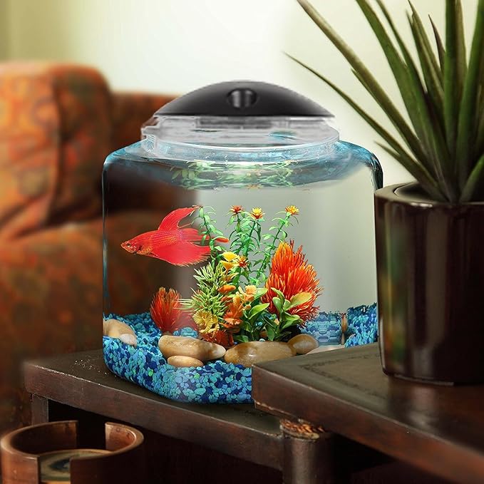 Koller Products 2-Gallon Hex Aquarium Starter Tank - LED Lighting (7 Color Selections), Impact-Resistant Plastic Fish Bowl for Betta/Nano/Goldfish, Wedding Event & Home Decor
