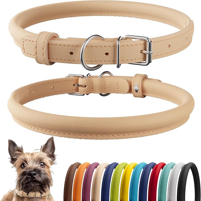 CollarDirect Rolled Leather Dog Collar, Soft Padded Round Puppy Collar, Handmade Genuine Leather Collar Dog Small Large Cat Collars 13 Colors (8-11 Inch, Beige Smooth)