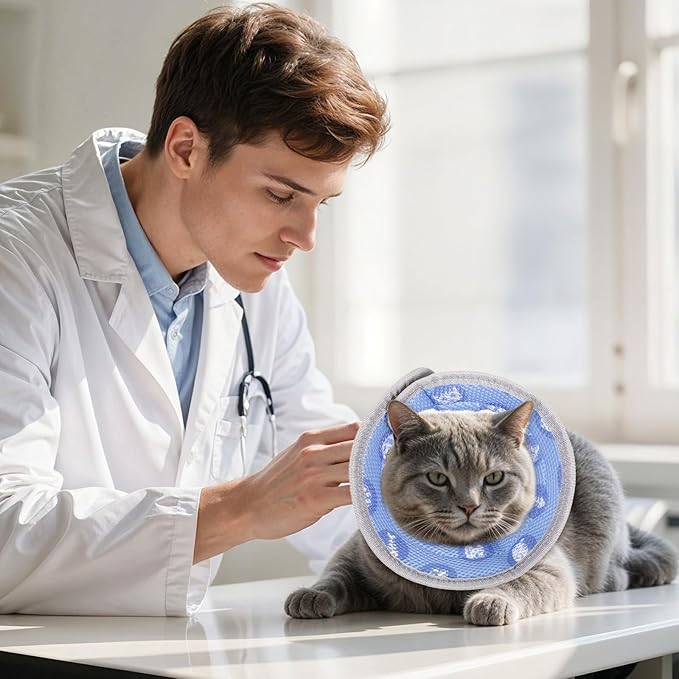 Cat Cone Collar After Surgery Soft to Stop Licking Lightweight Kitten Recovery Collar Comfortable Water Resistant Dogs Collars Adjustable Foldable Elizabethan Collars for Small Large Cats
