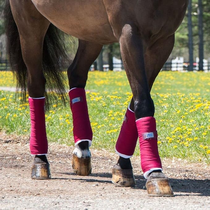 Dura-Tech Standing Wraps for Horses | Color Royal | Optimal Comfort & Support | Ideal for Post-Exercise & Trailering | Right Tension Application | Secure Closure