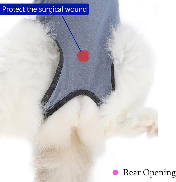 Cat Surgery Recovery Suit Cat Onesie for Cats After Surgery Spay Surgical Abdominal Wound Skin Diseases E-Collar Alternative Wear (Grey-Blue-M)