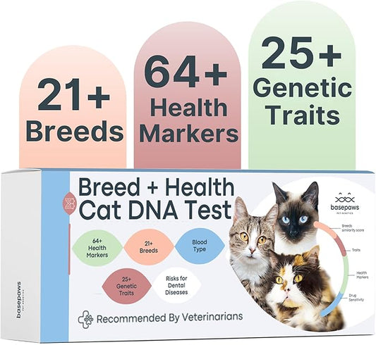 Basepaws Cat DNA Test Kit - Comprehensive Breed, Health and Dental Analysis Across 114 Traits for Accurate and Easy-to-Use Genetic Insights