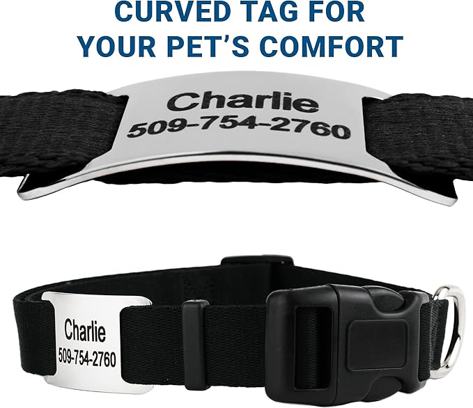 GoTags Personalized Dog Collar with Nameplate, Adjustable Dog Collar with Custom Engraved Slide On Pet ID Tag in Stainless Steel, Silent, No Noise Dog Tag for Large Medium and Small (Black, Small)