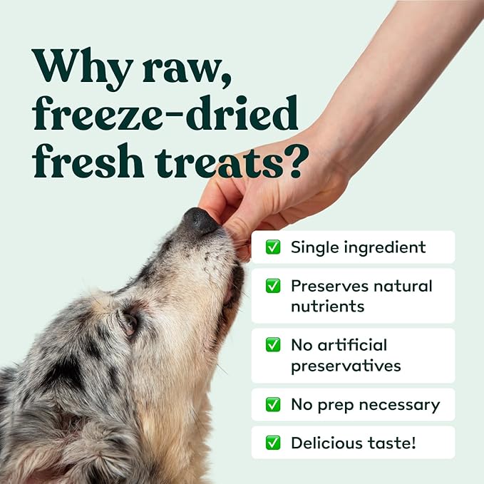 Little Hunter Freeze Dried Dog Treats - Beef Liver - Raw Single Ingredient Beef Liver Dog Treats for Snacks, Training, Dog Food Toppers - All Natural, Healthy Dog & Puppy Treats, 2 oz