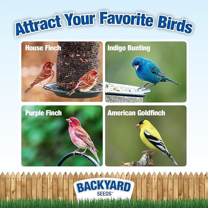 Backyard Seeds Thistle Bird Seed for Finches 50 Pounds