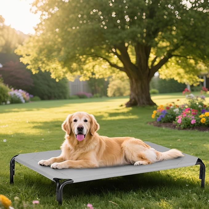 Elevated Dog Bed for Outdoor, XL Raised Dog Cot with Washable Mesh, Cooling Pet Cot Chew Proof for Outside Camping, 47 inch Grey