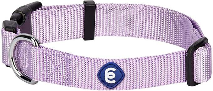 Blueberry Pet Essentials Small Dog Collar | Girl Dog Collars Fall | Female Dog Collar Small | Lavender Dog Collars for Small Dogs | Quick Release Dog Collar | Lavender Nylon Dog Collar