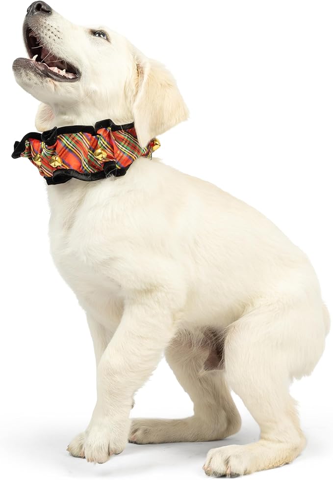 Huxley & Kent Ruff Pet Scrunchy | Shiny Christmas Plaid (Medium) | Festive Christmas/Holiday Neckwear for Dogs/Cats | Fun Stretchable Costume Accessory | Soft Collar with Bells