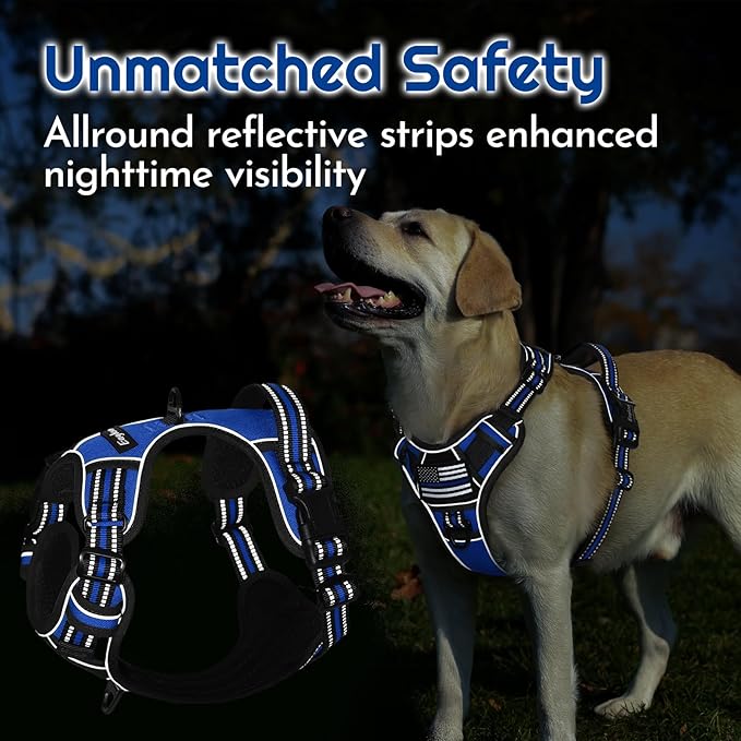 Eagloo Dog Harness for Large Dogs, Easy Wearing with 3 Buckles, Adjustable No Pull Pet Harness with 2 Rings for Walking, No Chock Reflective Soft Padded Vest with Control Handle, Blue & Black, XL