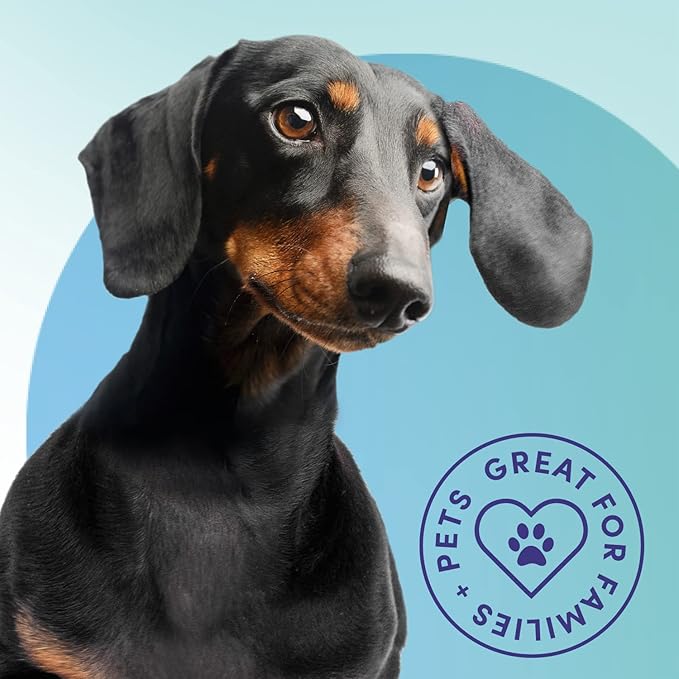 Bioesque Advanced Stain + Odor Remover, Pet-Friendly Natural Enzymatic & Bacterial Formula, Heavy-Duty Stain & Odor Remover, Safe on Carpets, Hard Floors, & More, 1 Gallon (Pack of 4)