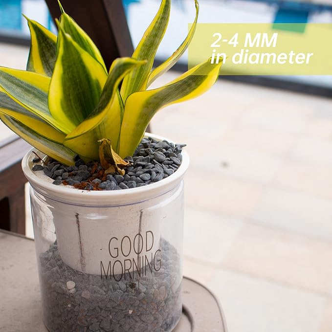 3lb Black Cactus Pea Gravel Rocks,1/4 Inch Pebbles for Indoor Plants, Natural Succulent Rock and River Rocks Decorative for Aquariums, Vases, Outdoor Gardening, Top Dressing for Potted Plants