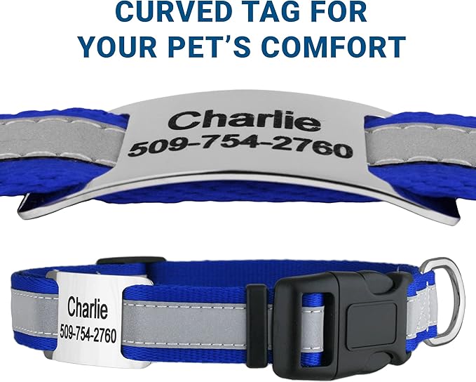 GoTags Reflective Personalized Dog Collar with Nameplate, Adjustable Dog Collar with Custom Engraved Steel Slide On Pet ID Tag, Silent, No Noise Dog Tag for Large Medium or Small (Blue, Medium)