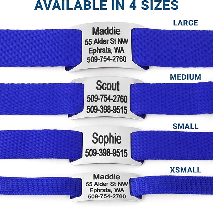 GoTags Personalized Dog Collar with Nameplate, Adjustable Dog Collar with Custom Engraved Slide On Pet ID Tag in Stainless Steel, Silent, No Noise Dog Tag for Large Medium and Small (Blue, Small)
