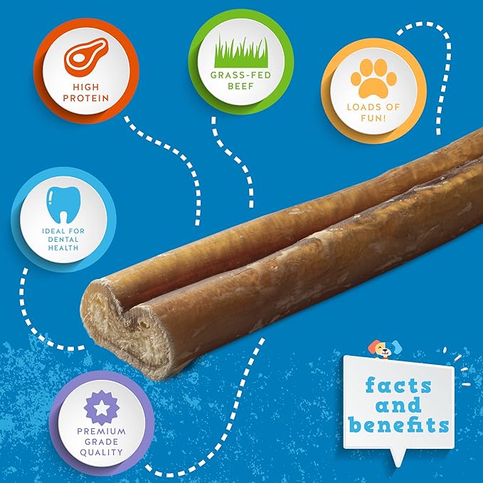 Jack&Pup 6-inch Jumbo Bully Sticks (6 Pack) Single Ingredient, Extra Thick Pizzle Sticks for Dogs | Longest Lasting Bully Sticks for Medium to Large Dogs