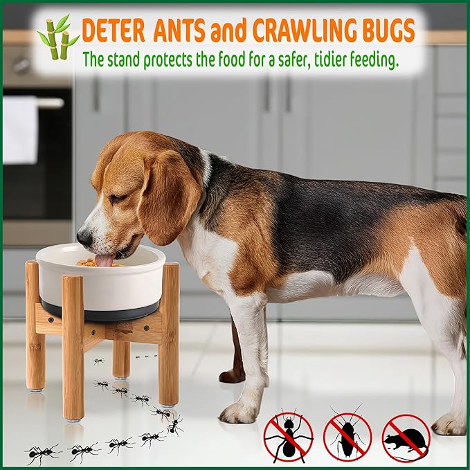 Dog Bowl Stand for Medium Breeds - Raises Bowls to 9-inch High, Ants/Bugs-Off - Adjustable, Fits Various Sizes of Dog Food/Water Bowls and Slow Feeders - Bamboo