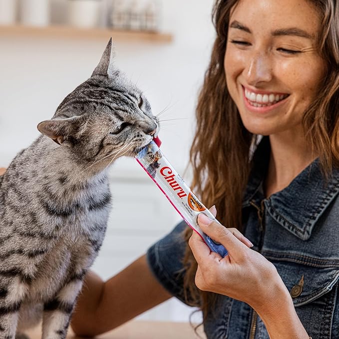 INABA Salmon Churu Cat Treats, Lickable, Squeezable Creamy Purée Cat Treat with Green Tea Extract & Taurine, 0.5 Ounces Each Tube, 60 Tubes, Salmon Variety Box