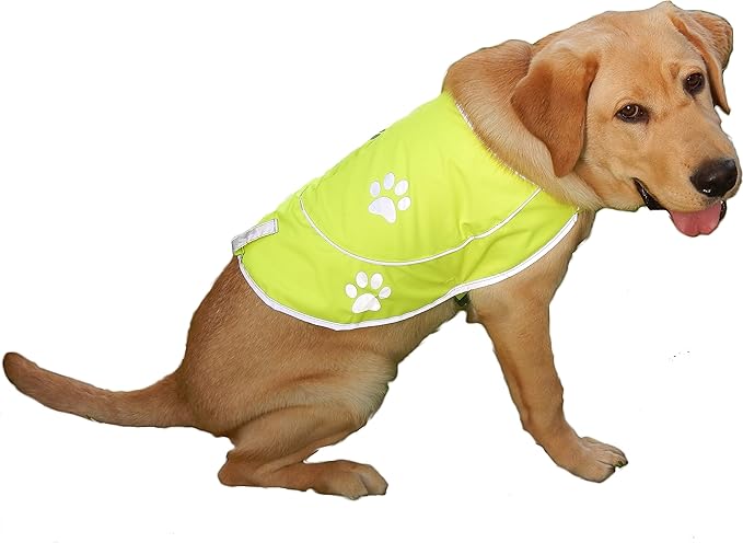 Dog Reflective Vest - Comfortable Jacket Safety Hunting, High Visibility for Dogs with Elastic Straps and Clasp Closure- Orange, X-Small