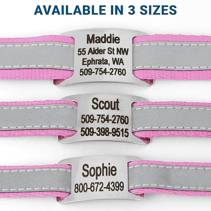 GoTags Reflective Personalized Dog Collar with Nameplate, Adjustable Dog Collar with Custom Engraved Steel Slide On Pet ID Tag, Silent, No Noise Dog Tag for Large Medium or Small (Pink, Medium)