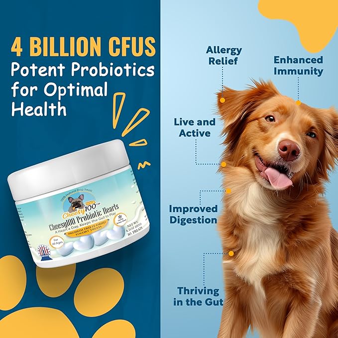– Crunchy Probiotic Dog Treats with 4 Billion Cultures – Freeze-Dried Yogurt Hearts for Gut Health