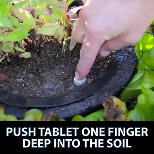 CrystalClear Thrive Aquatic Pond Plant Food, Fish Safe Water Garden Fertilizer, Nutrients Boost Lily & Lotus Flower Bloom & Root Growth, 60 Tablets