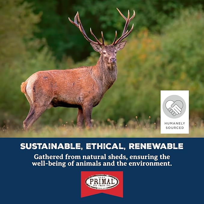 Primal Antlers for Dogs, Grade A Split Elk Antlers for Large Canines 45-60 lb, Natural Chews for Aggressive Chewers, Naturally Shed, Long Lasting Dog Bones, 1 ct