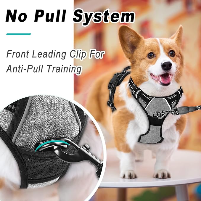 BARKBAY No Pull Dog Harness Large Step in Reflective Dog Harness with Front Clip and Easy Control Handle for Walking Training Running(Flint Gray,L)