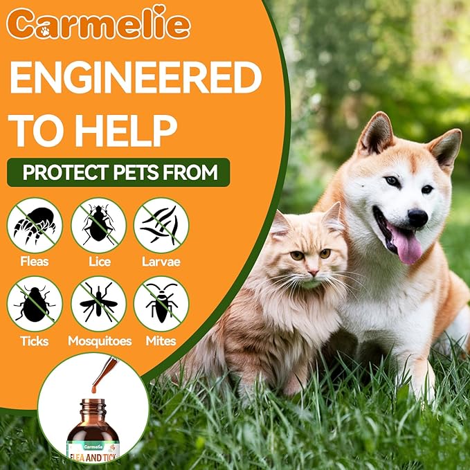 Oral Flea and Tick Support for Dogs and Cats, Natural Dog Flea and Tick Defense, Cat Flea Drops Supplements with Vitamin for Pets - All Breeds and Ages - Bacon